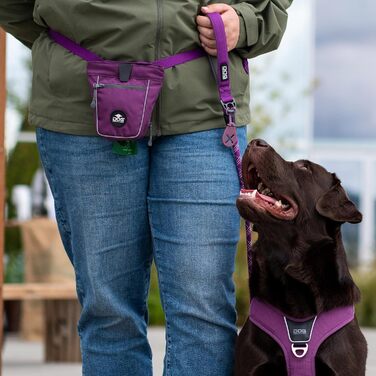 DOG Copenhagen Go Explore Лежанка для ласощів, чорна, універсальний розмір