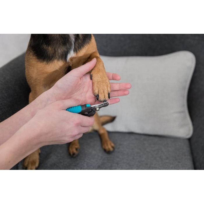 Ножиці для стрижки кігтів TRIXIE для собак, котів, дрібних тварин та птахів - з блокуванням - обмежувач запобігає надмірному скороченню - нержавіюча сталь - гумовий пластиковий грифель - синій/чорний - 12 см - 2367