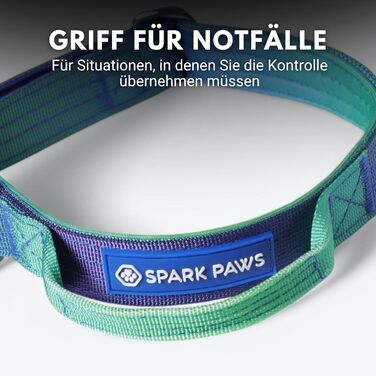 Тактичне нашийник для собак Spark Paws – міцний, преміум-якість, для великих та середніх собак (Lime Wave, XS: 9-18 кг [2.5 см])