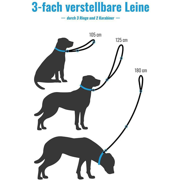 Dog Collar with 2m Leash Set - Adjustable Dog Leash - Dog Collar for Large Dogs, Collar for Small & Medium Dogs - Dog Collar & Leash - Includes Gift Box (30-40cm)