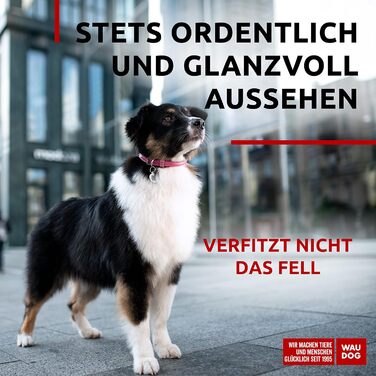 Нашийник для собак WAUDOG з натуральної шкіри, 20-25 см, 8 мм, рожевий