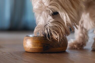 Lotte Holznapf Mandira 650ml Ceramic Dog Bowl - Brown