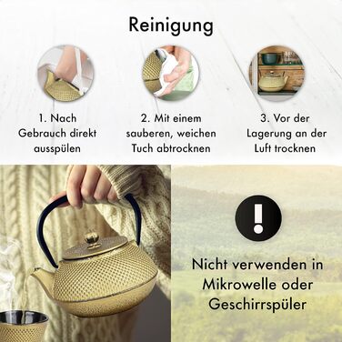 Чайник заварний чавунний TEEKANNE у японському стилі (800 мл) з нержавіючою сталею, преміум-якість