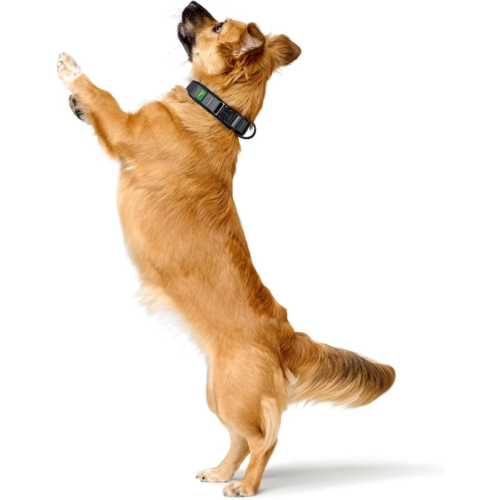 Нашийник для собак HUNTER Maldon, чорний, розмір M: дихаючий сітковий матеріал, міцний нейлон, безшумний, гіпоалергенний, з полегшенням натягу, інтегрована адресна бирка, легкий