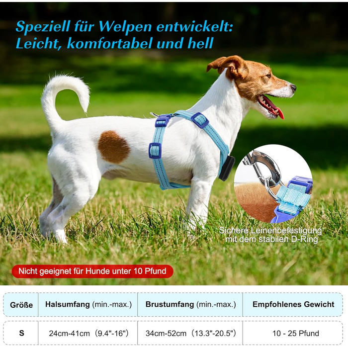 Світловідбиваючий нашийник для собак PZRLit з підзарядкою, для маленьких собак XS, LED нашийник для цуценят, безпечні прогулянки вночі (Блакитний)