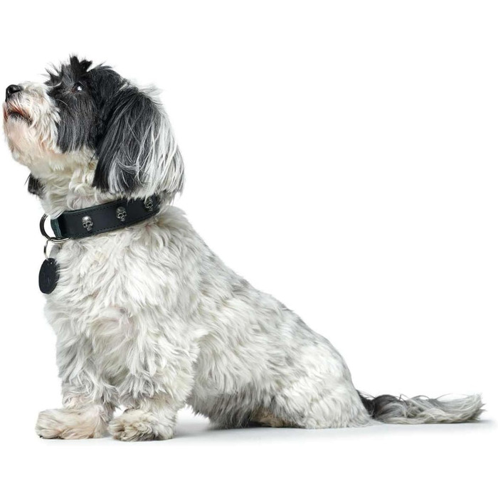 Нашийник для собак HUNTER Tijuana, чорний, з натуральної шкіри, ручної роботи, з декоративними черепами, розмір 55