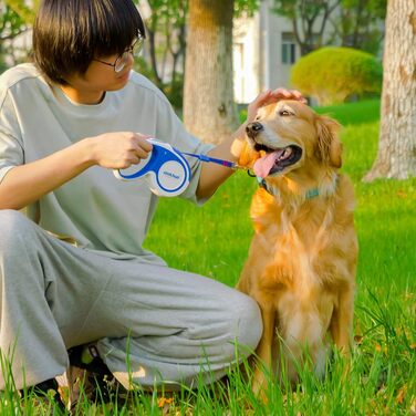 Рулетка для собак, 4.6 м, для малих, середніх та великих собак до 110 кг, міцна, з гальмом та фіксацією, зелена/синя (Large)