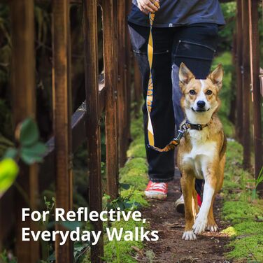 Нашийник для собак RUFFWEAR Crag, середній, з алюмінієвим кільцем V, регульований, 36-51 см, колір Midnight Wave