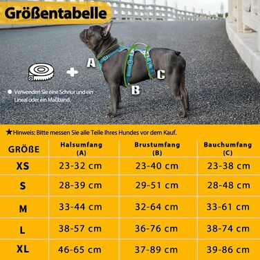 Шлейка безпеки для собак Huntboo, антизламна, зі світловідбиваючими елементами та м'якою ручкою, регульована жилетка для маленьких собак, для прогулянок та тренувань (S, Синій, X-Small, упаковка з 1)