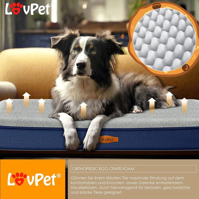 Lovpet® Orthopedic Dog Bed, Dog Cushion, Dog Basket Cookie, Incl. Bowl + 3X Chew Bones, Dog Sofa for Small, Medium & Large Dogs, Removable and Washable Cover, L 91x69x7.6 cm Anthracite (M (76 x 51 x 7.6 cm), Navy Blue / Light Grey)