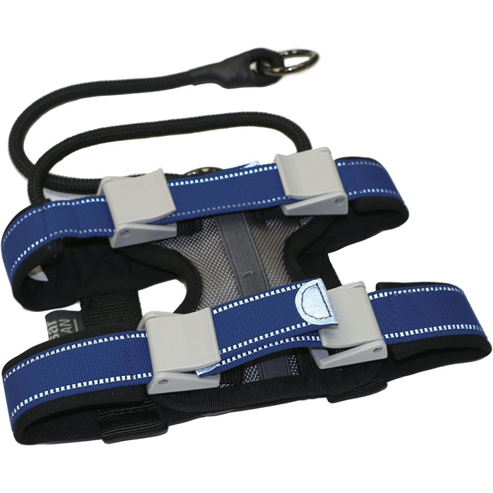 Pack Leader Collar™ - Dog Trainer Cesar Millan's Training Collar (Medium) (Blue, S)