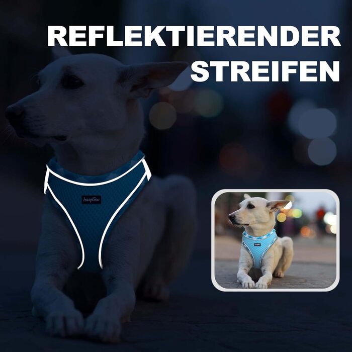Нашийник та поводок для собак Haapaw, без натягу, регульований, світловідбиваючий, Step-in, для цуценят та маленьких собак, з м'якою підкладкою, блакитний, розмір M (обхват грудей 38.1-45.7 см, вага 4.5-6.8 кг)