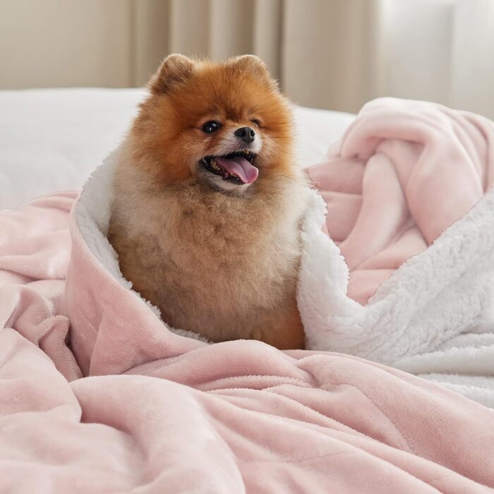 BEDSURE Плед Sherpa з вовною - теплий плед на диван, м'який накид, товстий плед для дивану, подарунок для жінок, теплий плед для дому, сірий, 150x200 см, XL (Рожевий A, 220 x 240 см)