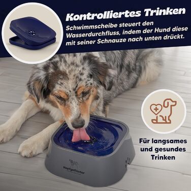 Napfgeflüster® Bella - Миска для води для собак та котів, 1л, не проливається, для подорожей