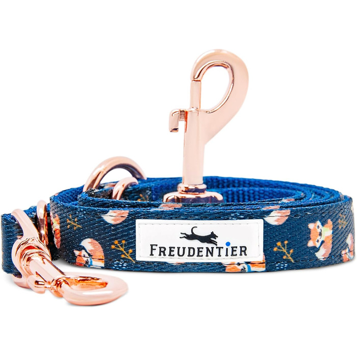 Dog Collar + Dog Leash Set - Includes Gift Box - 3-Way Adjustable Leash 2m - Let's Get Foxy Collection for Small, Medium & Large Dogs