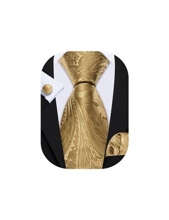 Набір краваток Barry.Wang: шовкові краватка, нагрудна хустинка та запонки. Ідеально для вечірок, весілля та ділових зустрічей