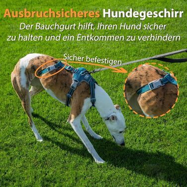 Шлейка Huntboo для собак: безпечна від виривання, антистресова, з відбиваючими елементами, регульована, легка (розмір S, блакитна)