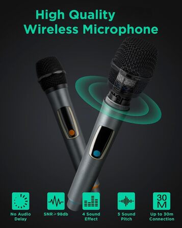 Караоке система Bluetooth GTSK10-1 600W з 2 мікрофонами, 10