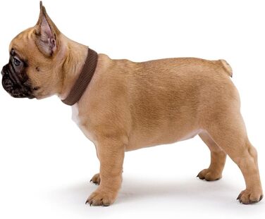 Нашийник для собак Hunter Vario Plus, міцний, гнучкий, з надійною застібкою, M-L/2.0, petrol