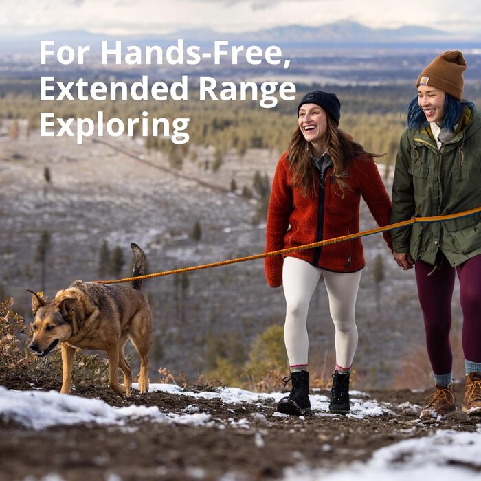 Ruffwear Roamer Bungee Dog Leash for Running, Cycling, or Hiking, Can Be Used with or Without Hands, Yellow Snow, 7.3-11ft