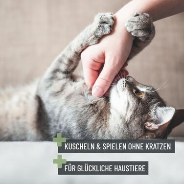 Ножиці ReaVET для обрізання кігтів котів, собак, цуценят та дрібних тварин - ідеальні для щільно прилеглих кігтів. Зручні, легкі та стабільні.