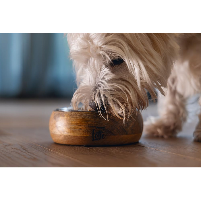 Lotte Holznapf Mandira 650ml Ceramic Dog Bowl - Brown