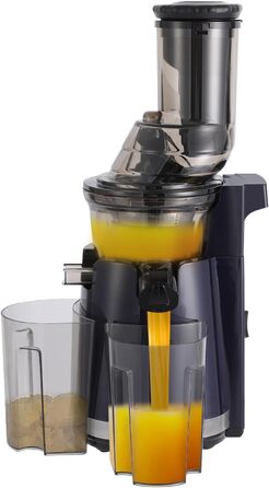 Juicer Slow Juicer, 250W Compact Electric Juicer 800 ml Juice Press for Vegetables and Fruits
