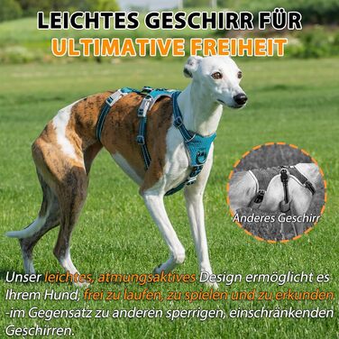 Шлейка Huntboo для собак: безпечна від виривання, антистресова, з відбиваючими елементами, регульована, легка (розмір S, блакитна)