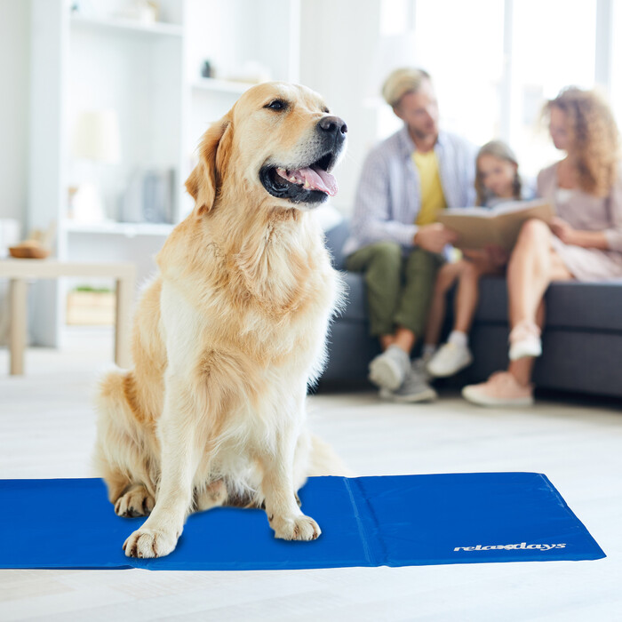 Relaxdays Blue Cooling Mat for Dogs