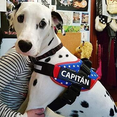 Шлейка Julius-K9 IDC Powergeschirr для собак, антрацит, розмір M (обхват грудей 58-76 см), з двома безкоштовними нашивками