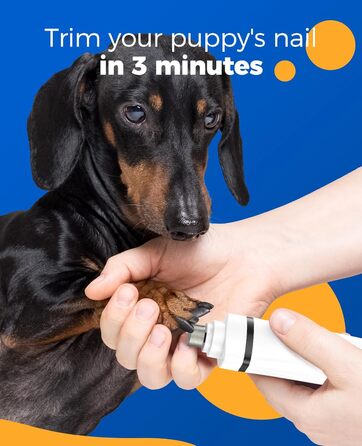 Schermaschine для собак та котів oneisall 4-в-1: стрижка, триммінг, шліфування кігтів. Безшумна, акумуляторна модель з 4 насадками для тіла, лап, очей та вух.