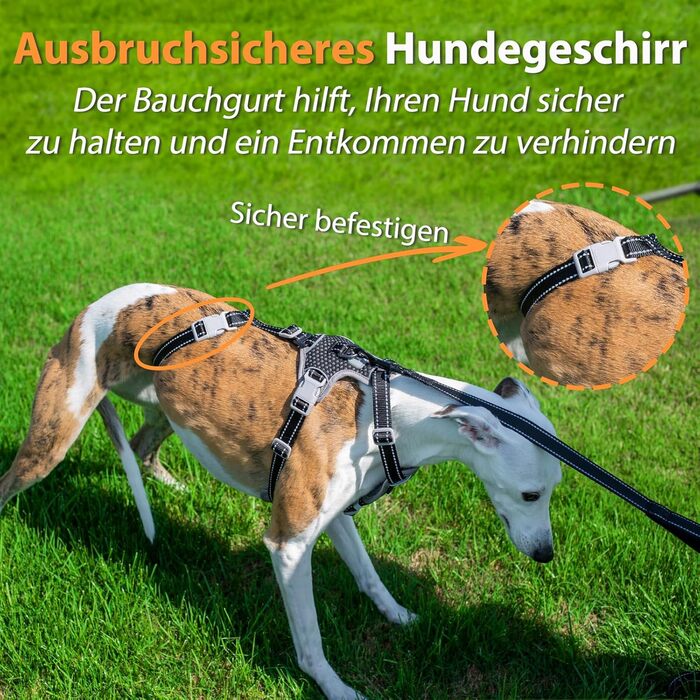 Шлейка для собак Huntboo, анти-витік, для панічних собак, світловідбиваюча, регульована, легка, чорна, розмір S, 1 шт.