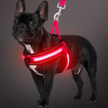 Світловідбиваючий жилет для собак середнього розміру BiPawTi, акумуляторний, з 3 світлодіодами - світиться в темряві, для прогулянок, зелений/рожевий/червоний, розмір S