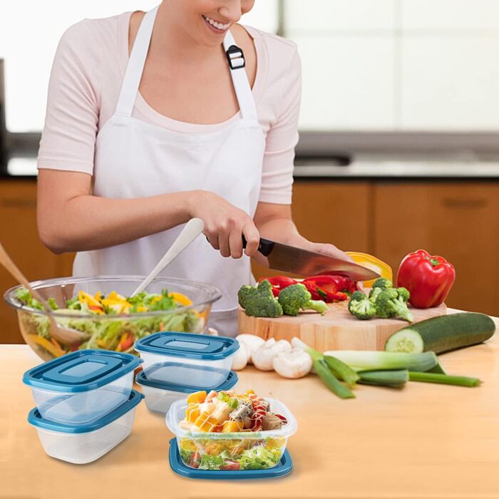 Набір контейнерів для їжі EFISH 20 шт. по 500 мл з кришкою - для школи, роботи, подорожей