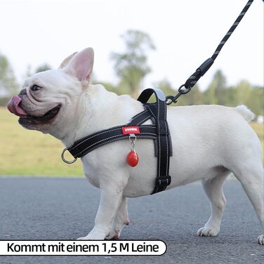 Нашийник для собак середніх та маленьких порід з повідком, кольоровий, з м'якою підкладкою, з ручкою та кільцем, світловідбиваючий, легкий, чорно-сірий, розмір M