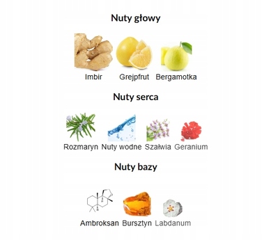 Парфуми Maison Alhambra, цитрусова парфумована вода для чоловіків, 100 мл