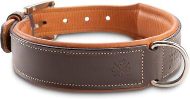 Нашийник для собак Джек Рассел Тірріер Amy - шкіряний нашийник з натуральної шкіри, з підкладкою та міцний - двошаровий нашийник для собак маленьких, середніх та великих порід (M, Коричневий) M (37.0-44.0 см)