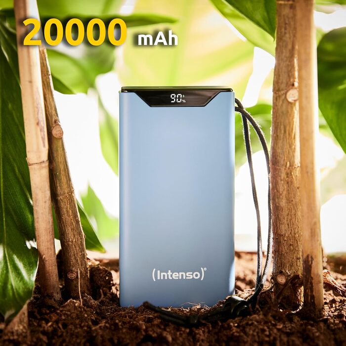 Powerbank Intenso F10000: 10000mAh, USB-C, USB-A, Швидка зарядка (PD 20W, QC 18W), Жовтий