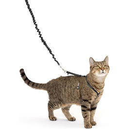 PetSafe Come with Me Kitty Harness and Bungee Leash, Harness for Cats, Size M, Red/Cranberry, Model: CWMK-M-RED (Black/Fawn, Small (Pack of 1))