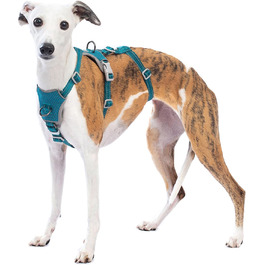 колір: блакитний