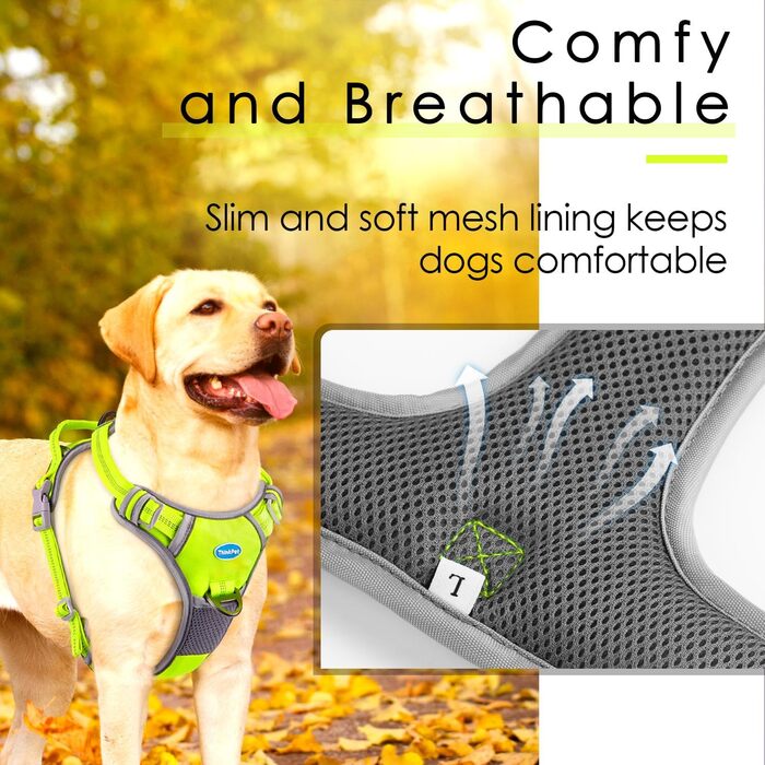 ThinkPet Шлейка для собак від тяги з ручкою - регульована, не тягне, світловідбиваюча, дихаюча, з підкладкою (S, зелений), 1 шт.