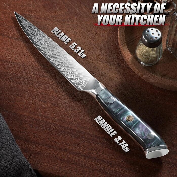 DRAGON RIOT Кухонний ніж професійний, шеф-ніж з ручкою з епоксидної смоли, з піхвою (універсальний)