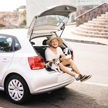Транспортний бокс для котів та собак Noade 2 - міцний бокс з поліпропілену, 55x36x35 см, до 8 кг
