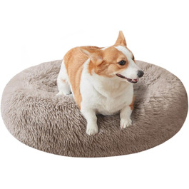 колір: бежевий колір