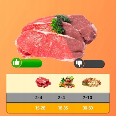 Автоматичний вакуумний пакувальник для продуктів + 20 пакетів у комплекті