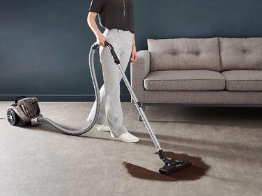 Пилосос Rowenta Compact Power XXL Animal без мішка, 900 Вт, 3-рівнева фільтрація, великий об’єм, радіус 8,8 м, насадки для шерсті тварин, паркету та щілин, бронзовий