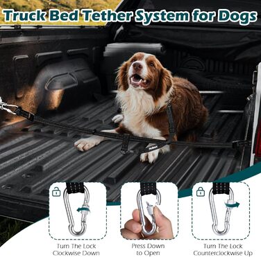 Pickup Truck Dog Safety Harness with Seat Belt - Adjustable Dog Restraint for 1 Dog - SUV, Truck Compatible