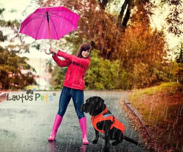 Lautus Pets Dog Raincoat, Waterproof, Reflective, Light with Harness Hole (Orange, 2XL)