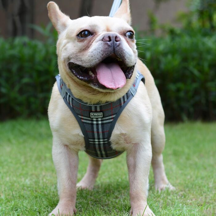 Шлейка для собак Suredoo, маленькі та середні породи, анти-тяга, світловідбиваюча, дихаюча, для цуценят (M, 34-39см; XL, 46-53см, 8-10.5кг), сіра в клітинку