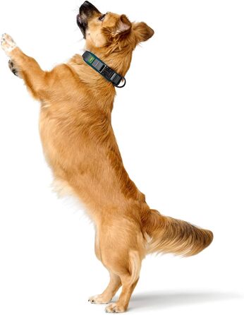 Нашийник для собак HUNTER Maldon, petrol, дихаюча сітка, міцний нейлон, безшумний, гіпоалергенний, з регулюванням натягу, з адресником, легкий, розмір S